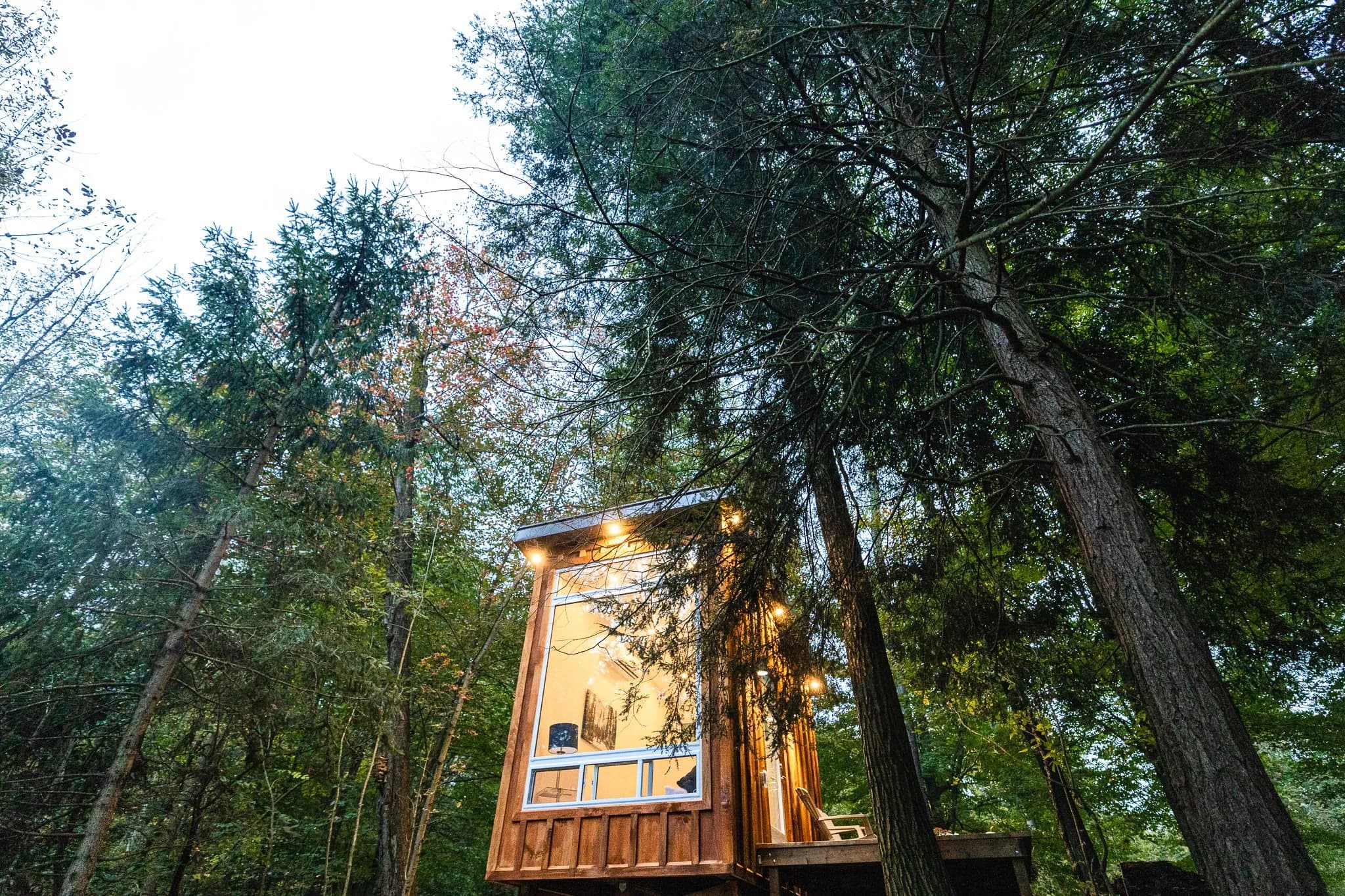 Canopy accommodations
